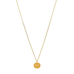 Van cleef & arpels Collier Zodiaque Or jaune